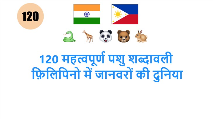 120 महत्वपूर्ण पशु शब्दावली: फ़िलिपिनो में जानवरों की दुनिया